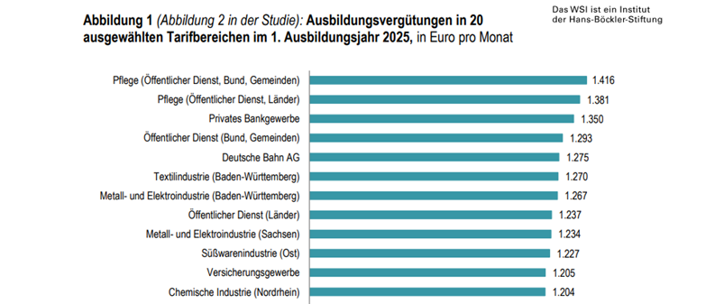 PDF der WSI Studie