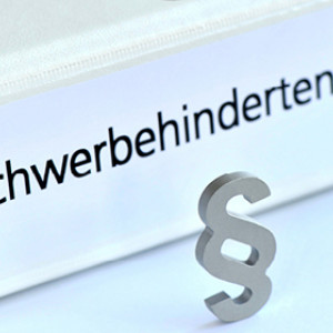 Die Einladungspflicht des &ouml;ffentlichen Arbeitgebers nach &sect; 165 SGB IX